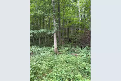Lot B E Riverside Drive, Lowell, MI 49331 - Photo 4