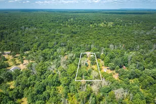 10130 N Brooks Rd, Irons, MI 49644 - Photo 20