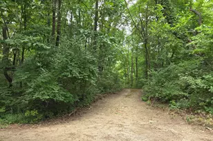 12884 Sharon Hollow Rd, Manchester, MI 48158 - Photo 46