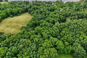12884 Sharon Hollow Rd, Manchester, MI 48158 - Photo 38