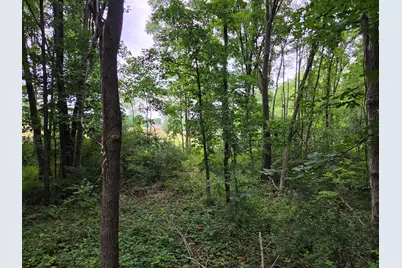 12884 Sharon Hollow Road, Manchester, MI 48158 - Photo 52