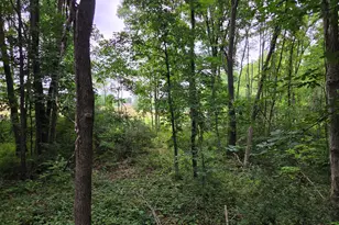 12884 Sharon Hollow Rd, Manchester, MI 48158 - Photo 52