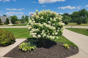 6045 Sterling Trail, Dexter, MI 48130 - Photo 40
