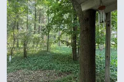 10532 N Oak Street, Irons, MI 49644 - Photo 26