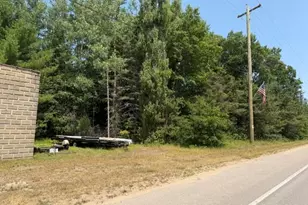 10532 N Oak St, Irons, MI 49644 - Photo 32