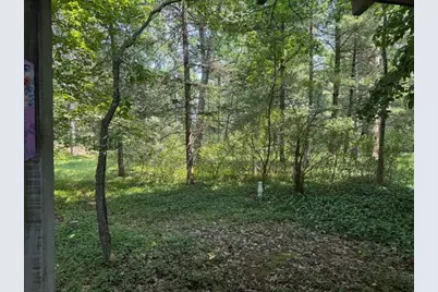 10532 N Oak Street, Irons, MI 49644 - Photo 28