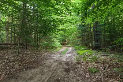 00 N 1 Road #Parcel G, Buckley, MI 49620 - Photo 14