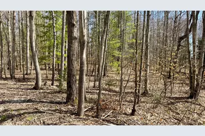 00 N 1 Road #Parcel G, Buckley, MI 49620 - Photo 6