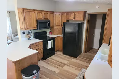 221 S Madison Street, Adrian, MI 49221 - Photo 8
