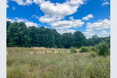 Parcel 9 Leaf Lane, Freeport, MI 49325 - Photo 4