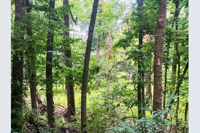 Parcel 9 Leaf Lane, Freeport, MI 49325 - Photo 8