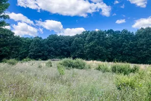 Parcel 9 Leaf Ln, Freeport, MI 49325 - Photo 1