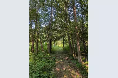 3135 Lee Hill Road, Caro, MI 48723 - Photo 42