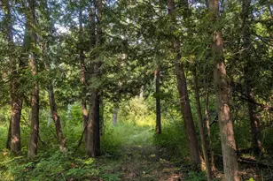 3135 Lee Hill Rd, Caro, MI 48723 - Photo 42