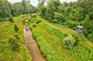 3135 Lee Hill Rd, Caro, MI 48723 - Photo 28