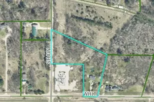 15252 White Rd, Bailey, MI 49303 - Photo 14