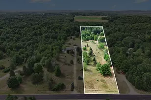 6809 W Deer Rd, Mears, MI 49436 - Photo 28