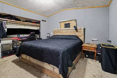 14372 Deaner Road, Howard City, MI 49329 - Photo 14