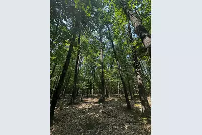 00 Vl Deer Trail, Irons, MI 49644 - Photo 10