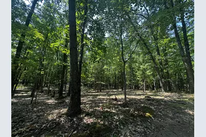 00 Vl Deer Trail, Irons, MI 49644 - Photo 1