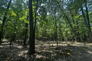 00 Vl Deer Trail, Irons, MI 49644 - Photo 1
