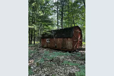 00 Vl Deer Trail, Irons, MI 49644 - Photo 4