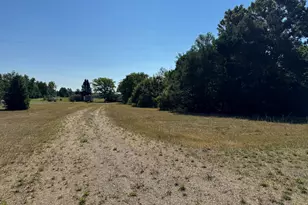 9381 Jones Rd, Howard City, MI 49329 - Photo 4