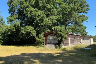 9381 Jones Rd, Howard City, MI 49329 - Photo 2