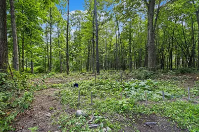 1280 Athens Road, Athens, MI 49011 - Photo 32