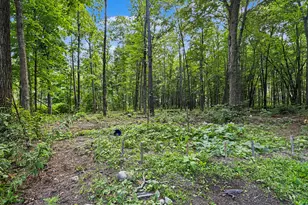 1280 Athens Rd, Athens, MI 49011 - Photo 32