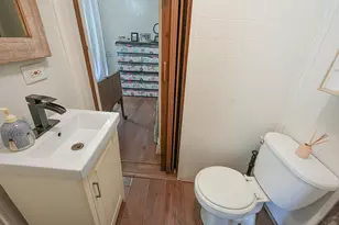 910 Pleasant St, Belding, MI 48809 - Photo 40