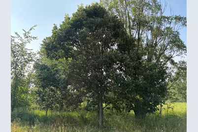 9653 52nd Avenue, Allendale, MI 49401 - Photo 12