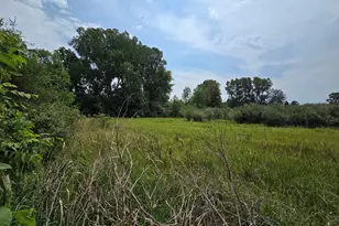 4250 Rives Junction Rd, Jackson, MI 49201 - Photo 126