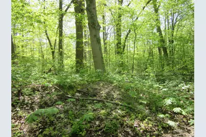 5988 Jefferson Street, Coloma, MI 49038 - Photo 1