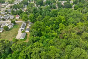 615 N Pleasant St, Jackson, MI 49202 - Photo 58