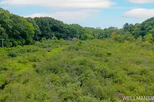 1019 Elizabeth St, Saugatuck, MI 49453 - Photo 34