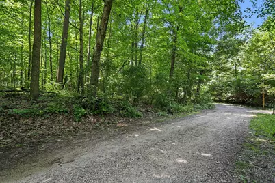 V/L Middle Road #Lots 45 & 46, Three Rivers, MI 49093 - Photo 2