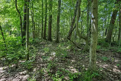 V/L Middle Road #Lots 45 & 46, Three Rivers, MI 49093 - Photo 1