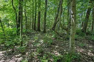 V/L Middle Rd, Three Rivers, MI 49093 - Photo 1