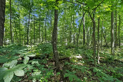 V/L Middle Road #Lots 45 & 46, Three Rivers, MI 49093 - Photo 10