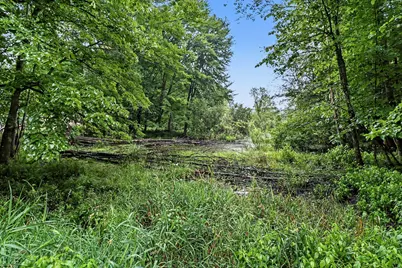 16465 Flarity Road, Brethren, MI 49619 - Photo 20