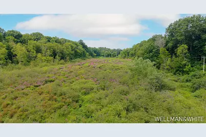 1019-1021 Elizabeth, Saugatuck, MI 49453 - Photo 34