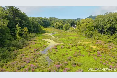 1019-1021 Elizabeth, Saugatuck, MI 49453 - Photo 36
