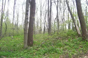5575 Hagar Pl, Coloma, MI 49038 - Photo 1