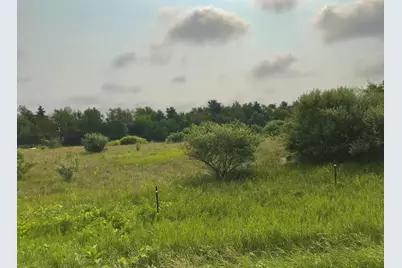 Lot I Buckhorn Road #Lot I, Three Rivers, MI 49093 - Photo 2
