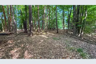 V/L Cr 388, South Haven, MI 49090 - Photo 56
