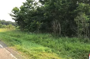Lot H Buckhorn Rd, Three Rivers, MI 49093 - Photo 1