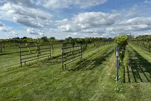 2665 E Moore Rd, Grant, MI 49327 - Photo 18