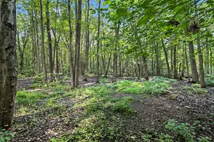 10194 Bunton Rd, Willis, MI 48191 - Photo 36