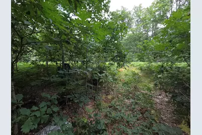 10622 W 7 Mile Road, Irons, MI 49644 - Photo 38